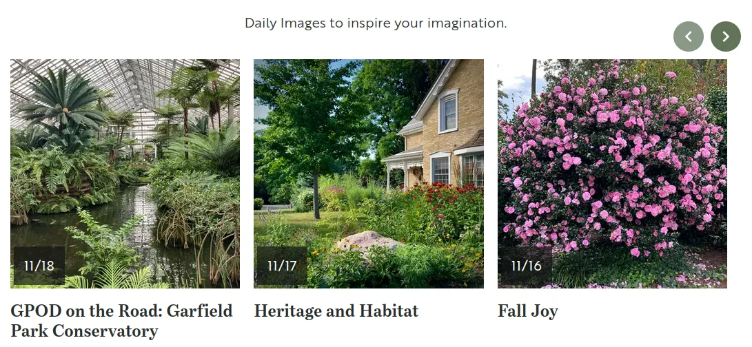 List of articles displayed in a 3 item grid on wider screens that is paginated with a carousel