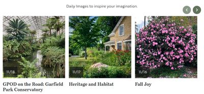 List of articles displayed in a 3 item grid on wider screens that is paginated with a carousel